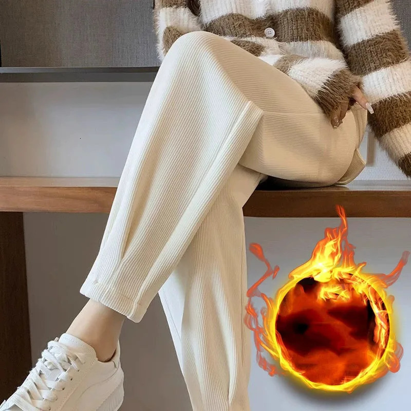 Spring Autumn Warm … - image