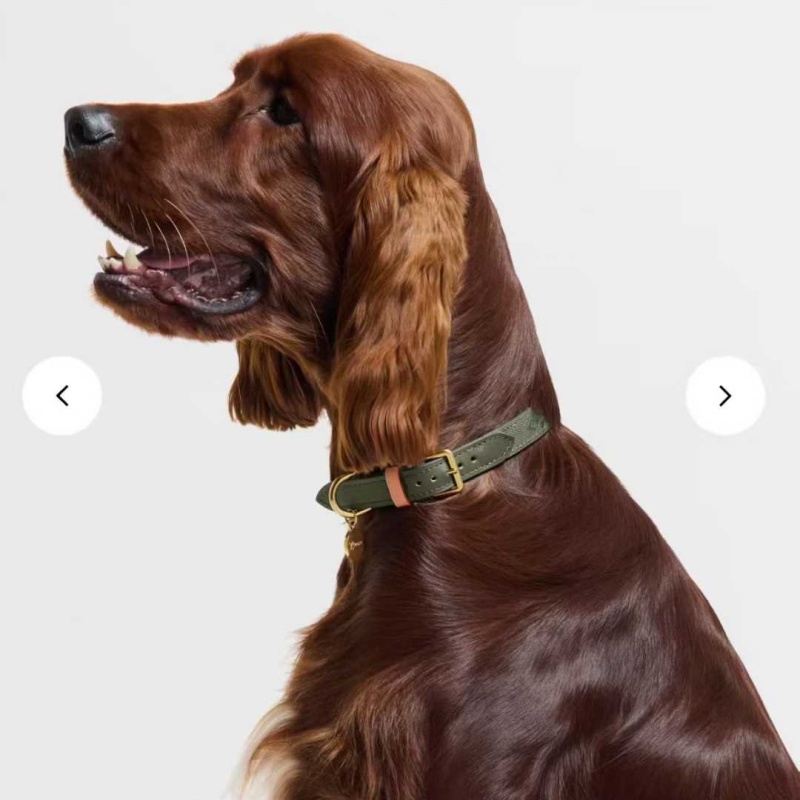 Designer Genuine Leather Dog Collar Is Suitable For All Dogs, And The Dark Green Pet Collar Leash Looks More Luxurious.Dog Leash With Gift Box