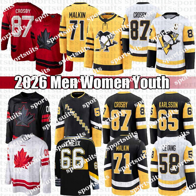 #87 Sidney Crosby Penguins hockey jersey winter classic jerseys #58 Kris Letang Evgeni Malkin Carter Bryan Rust Tristan Jarry Jake Guentzel Rickard Rakell jerseys