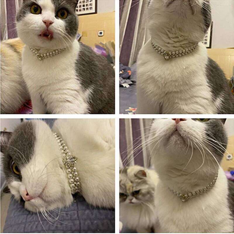 Luxury Puppy Pearl Necklace Rhinestone Collar for Cats Small Dogs Ragdoll Cat Sphynx Necklaces Pet Accessories collier chat 26W0115G14