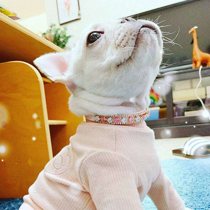 Luxury Puppy Pearl Necklace Rhinestone Collar for Cats Small Dogs Ragdoll Cat Sphynx Necklaces Pet Accessories collier chat 26W0115G14