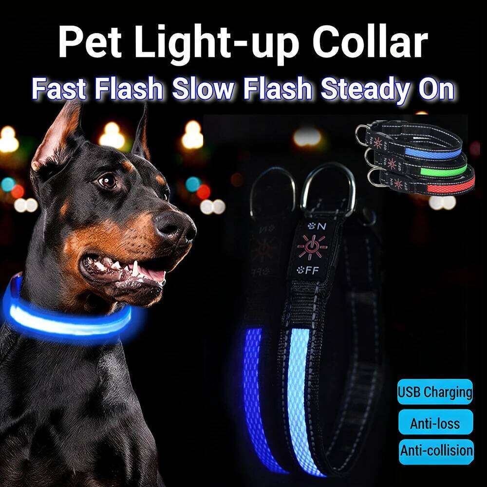 LED Light Collar Rechargeable USB Three Modes Adjustable Breathable Light-up Nylon Pet Choker Dog Safety Collars At Night 26W0115