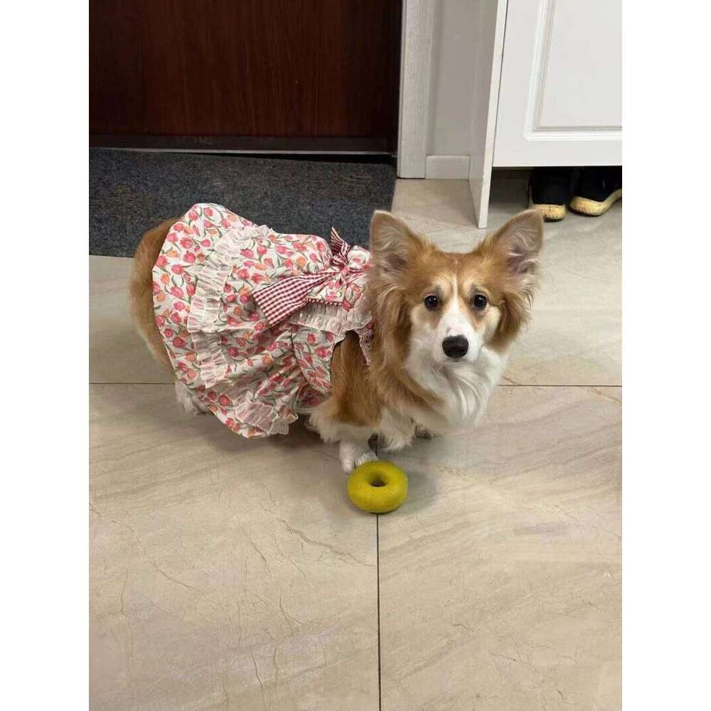 Famous brand Summer Large Dress Big Dog Clothes Dresses Welsh Corgi Shiba Inu Border Collie Husky Labrador Golden Retriever Clothing pupakaIK