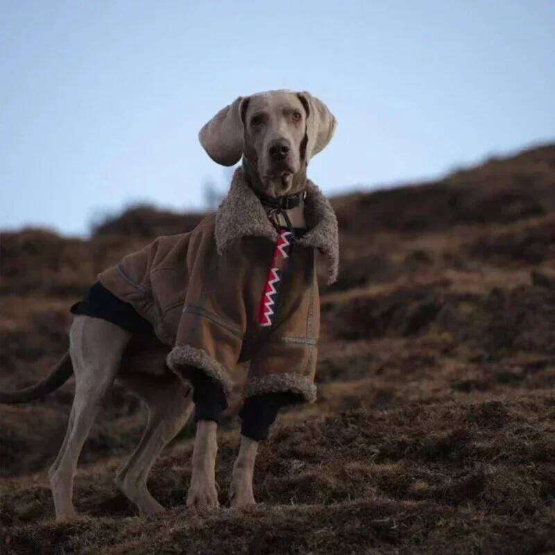 Big Clothes Winter Large Dog Coat Jacket Samoyed Husky Border Collie Labrador Golden Retriever Weimaraner Clothing Apparel 26Y0116