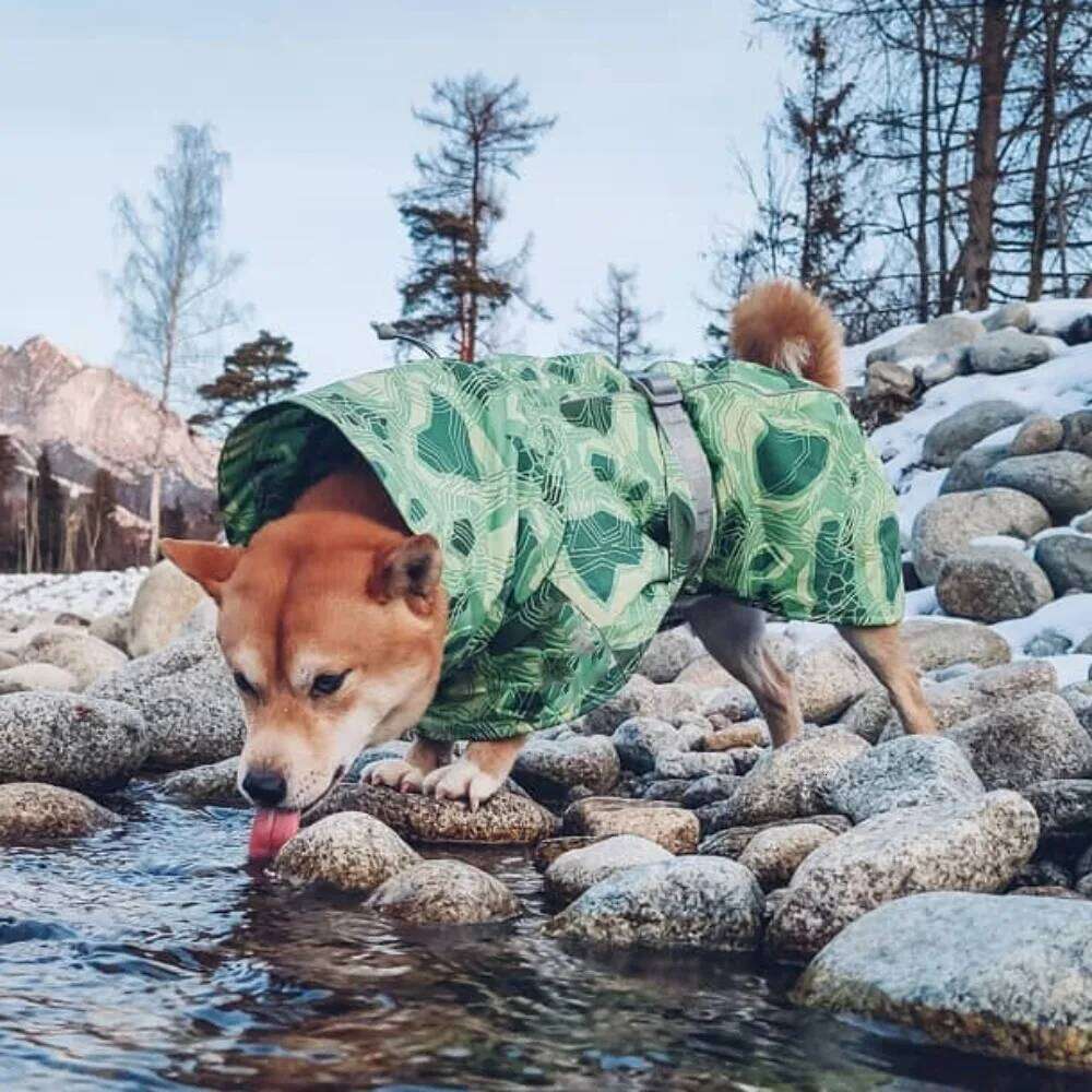 Famous brand Winter Medium and Large Sizes Waterproof Ultralight Wear Resistant Clothing Ski Suit Beautiful Pet Warmth Products pupakaIK