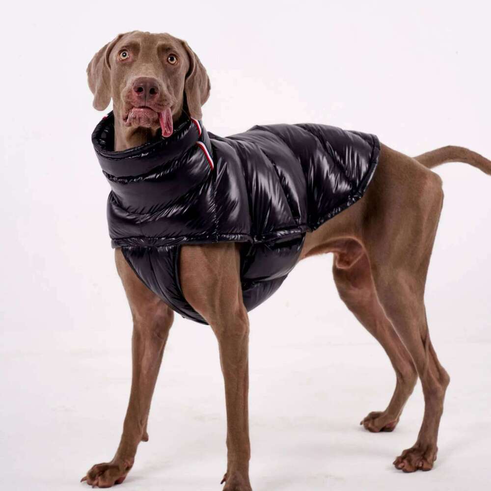 Famous brand S XL Large Winter Thick Down Coat High Collar Warm Windproof Adjustable Pet Clothes Legged Padded Dog Jacket Vest pupakaIK