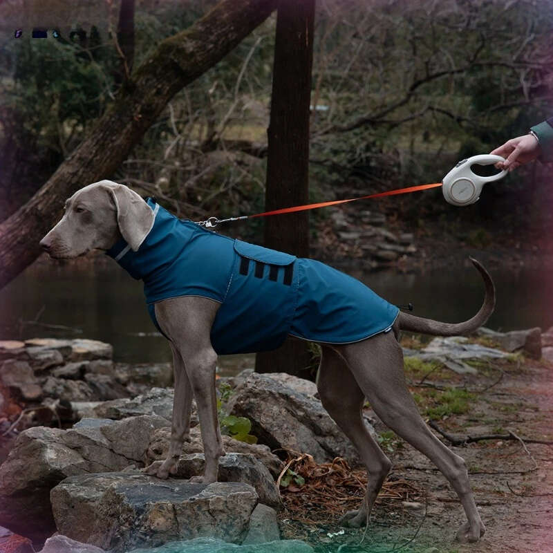 Famous brand Dog waterproof dustproof outdoor jacket pet raincoat outfit rainproof clothing rain dual use cloth large dog trench coat pupakaIK