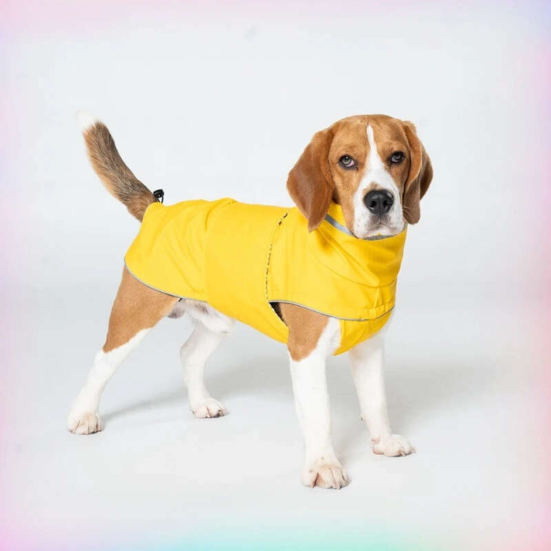 Famous brand Dog waterproof dustproof outdoor jacket pet raincoat outfit rainproof clothing rain dual use cloth large dog trench coat pupakaIK