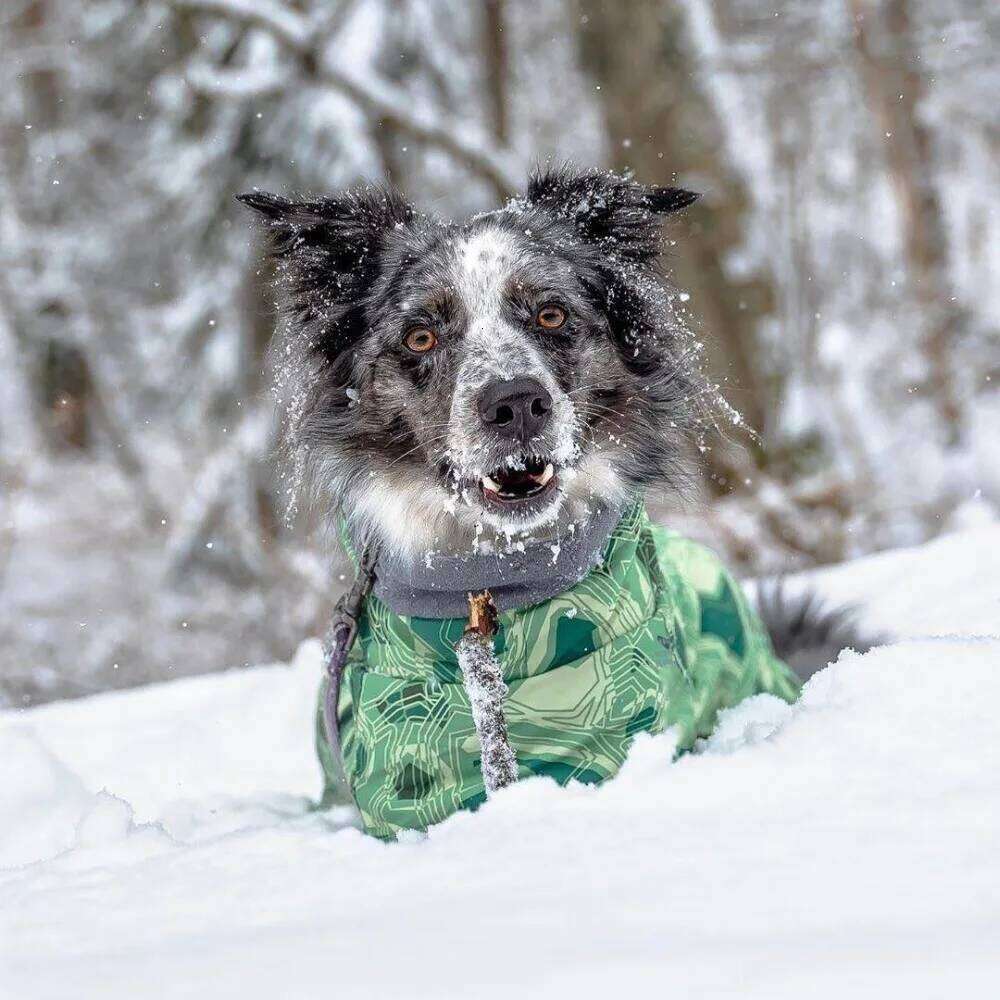 Famous brand Winter Medium and Large Sizes Waterproof Ultralight Wear Resistant Clothing Ski Suit Beautiful Pet Warmth Products pupakaIK