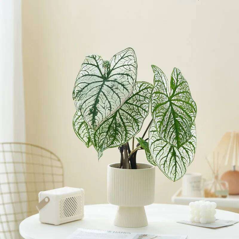 Nordic Creative Striped Ceramic Flower Pots, Minimalist Morandi Vases, Green Plants, Home Decoration, Modern Decoration C260116