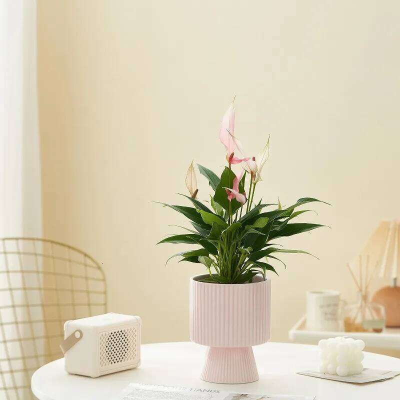 Nordic Creative Striped Ceramic Flower Pots, Minimalist Morandi Vases, Green Plants, Home Decoration, Modern Decoration C260116