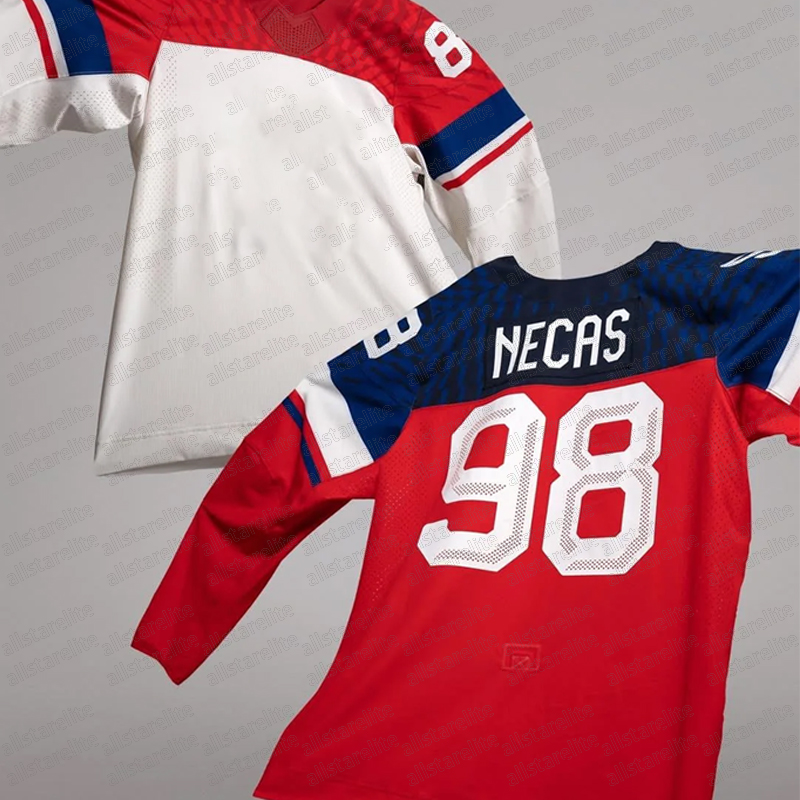 Custom Team Name Czechia 2026 Olympicss Hockey Jerseys David Pastrnak Martin Necas Hertl Embroidered Letter Number Jersey