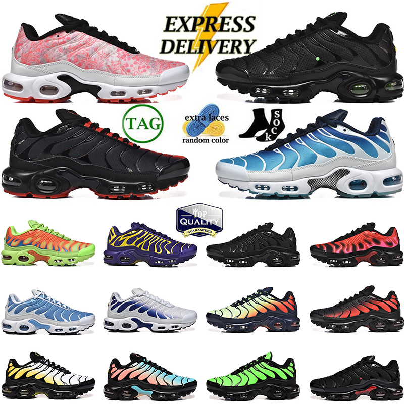 Designer tn tnss chaussure AirsMx Low Tn Plus 3 Mens running shoes Sneakers Championship Mean Green Black Green SVP Purple Black men women trainers Sports Shoes