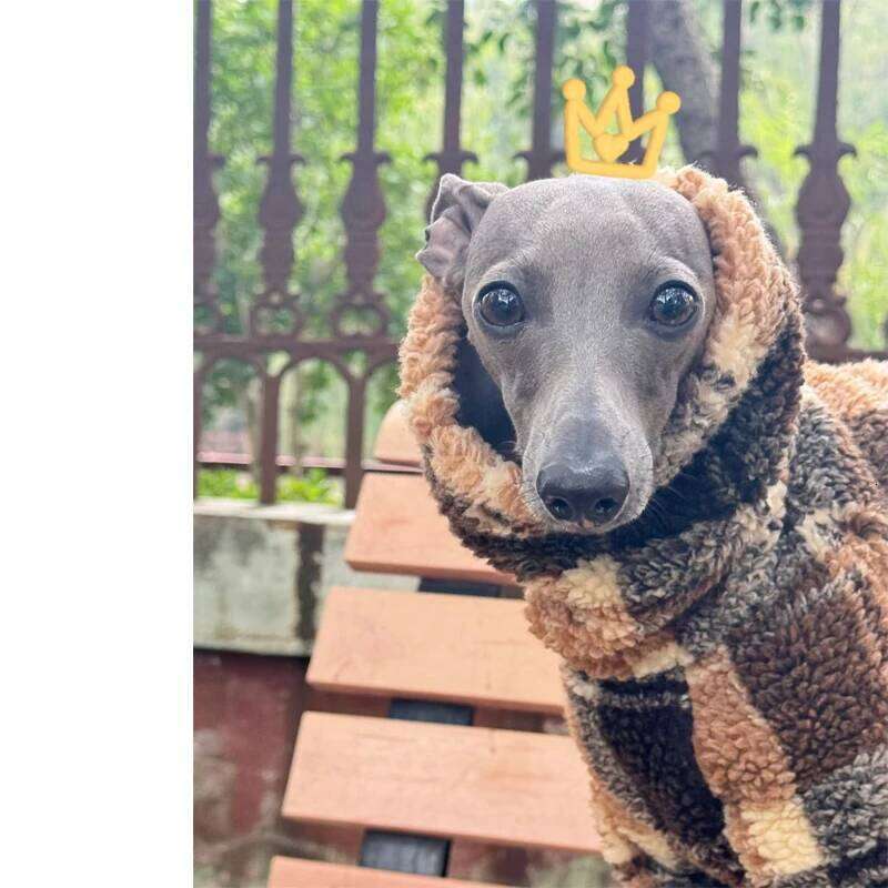 Famous brand Double sided Velvet Whippet Berlington Terrier Turtleneck Dog Coat Windproof Clothes Warm Jacket for Italy Greyhound pupakaIK
