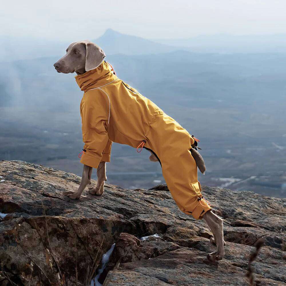 Famous brand Large Waterproof Winter Jumpsuit Full Coverage Outdoor Windproof Reflective Dog Coat with Fleece Lining pupakaIK