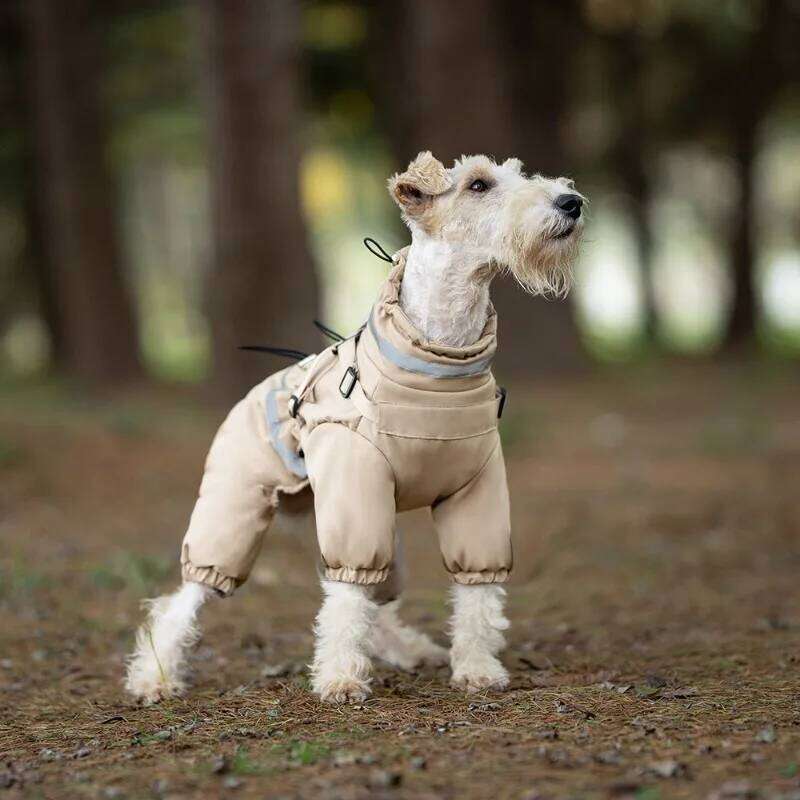 Famous brand Autumn Winter Dog Four legged Clothing Padded Jacket with Chest Back Thick Warm Windproof Puppy Coat Pet Products Coats Supplies pupakaIK