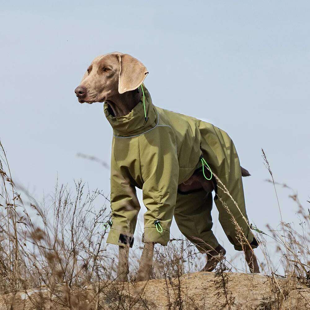 Famous brand Large Waterproof Winter Jumpsuit Full Coverage Outdoor Windproof Reflective Dog Coat with Fleece Lining pupakaIK