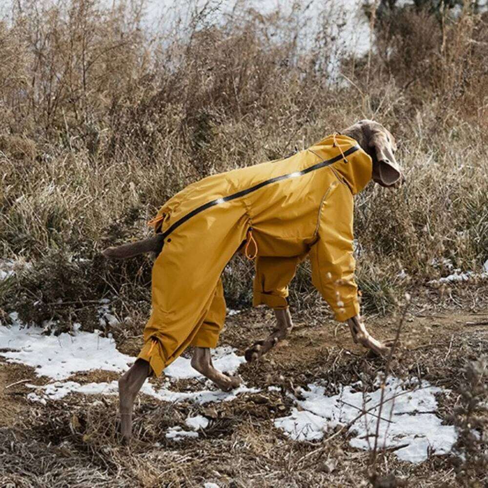 Famous brand Large Waterproof Winter Jumpsuit Full Coverage Outdoor Windproof Reflective Dog Coat with Fleece Lining pupakaIK