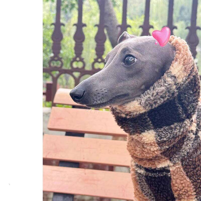 Famous brand Double sided Velvet Whippet Berlington Terrier Turtleneck Dog Coat Windproof Clothes Warm Jacket for Italy Greyhound pupakaIK
