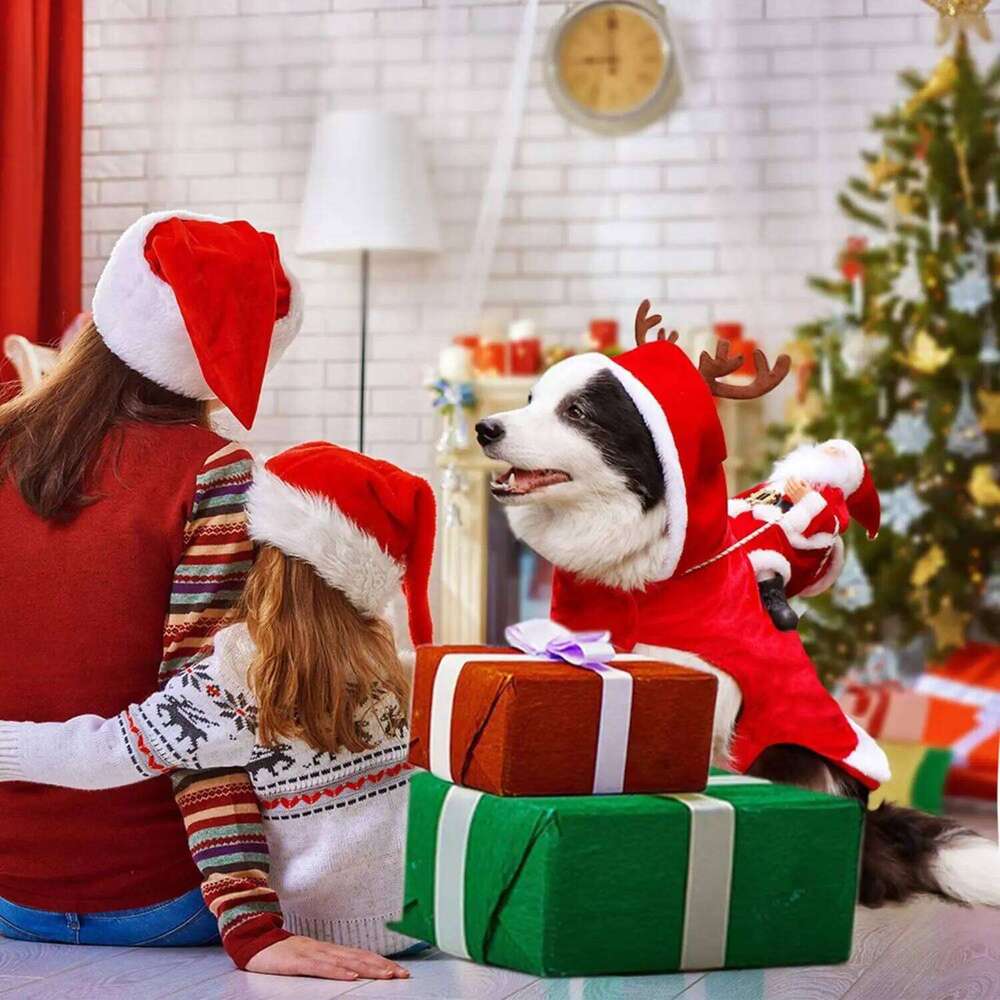 Famous brand Santa Claus Riding Dog Costume Christmas Pet Clothes Cosplay Party Dressing Up Cats Outfit for Small Medium Large Dogs pupakaIK