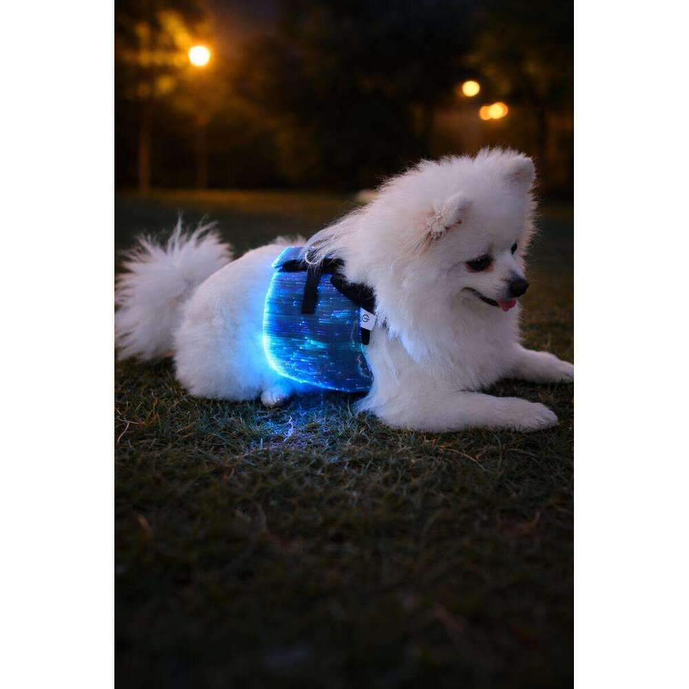LED Wiring Harness, Luminous Chest Strap, Night Walking Tool, Anti Loss And Safer Pet Dog Accessories - view 6