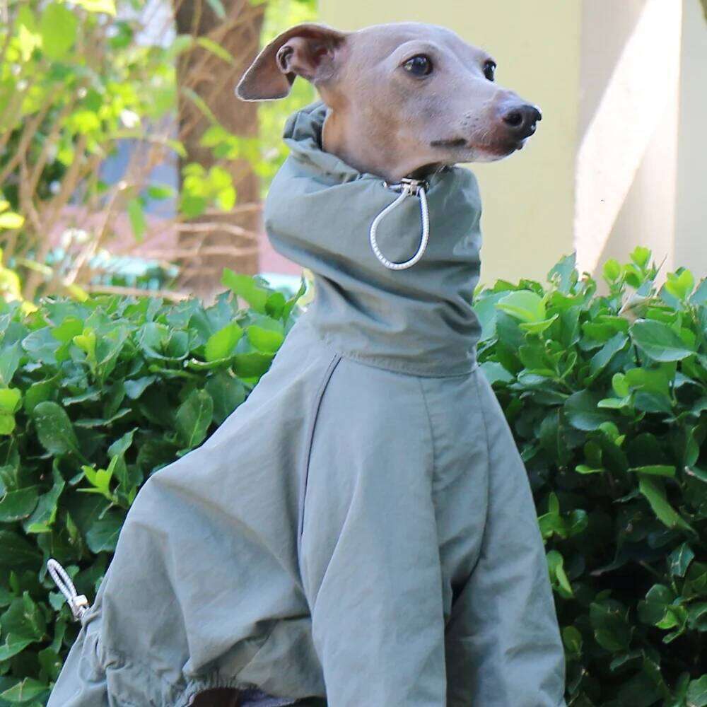 Famous brand Green Windproof Summer Adjustable High Neck Jacket Italian Greyhound Waterproof Raincoat With Zipper on Back for Whippet pupakaIK