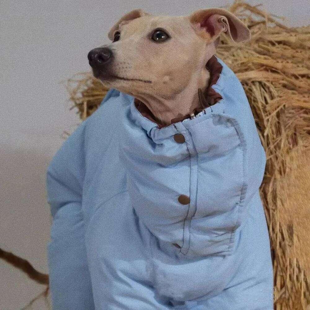 Famous brand Thicken Pet Dog Parkas Coat Four Legs Puppy Jumpsuit High Neck Design Double Sides Wearing Whippet Greyhound Winter Outfits pupakaIK