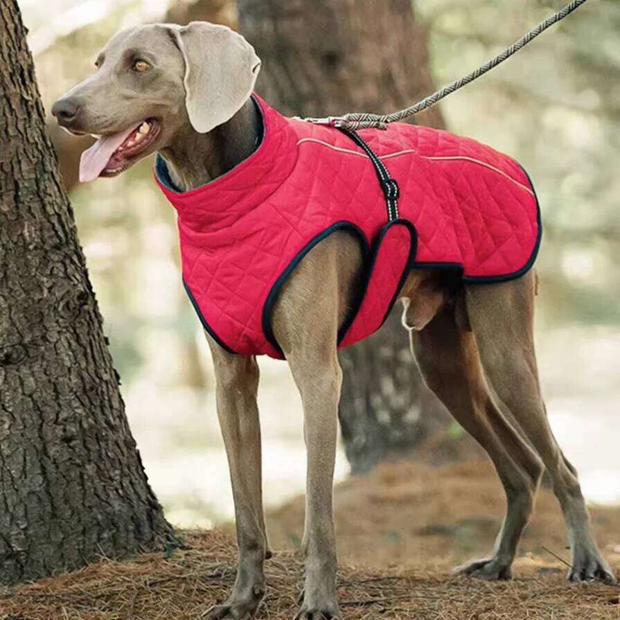 Famous brand Outdoor Jacket Waterproof Dog Clothes Vest Winter Warm Cotton Clothing for Large Middle Dogs Labrador red black pupakaIK
