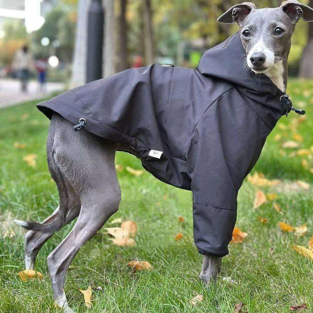 Famous brand Fashion Italy Greyhound Interchange legged High Neck Dog Sweatshirt Black Jacket Coat Soft Loungewear for Whipbit pupakaIK