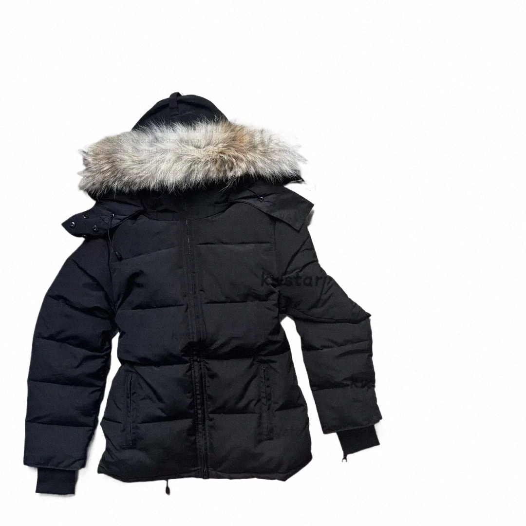 Women Down Jackets … - image