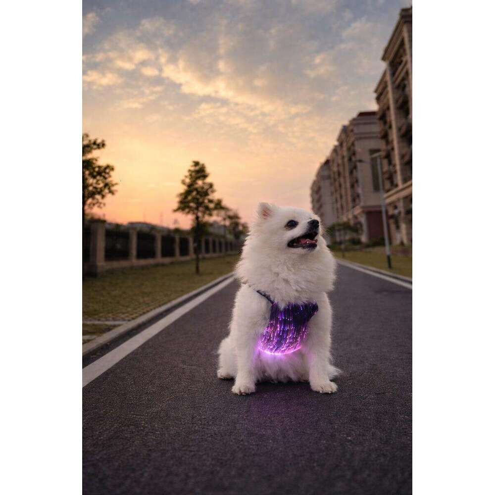 LED Wiring Harness, Luminous Chest Strap, Night Walking Tool, Anti Loss And Safer Pet Dog Accessories - view 5