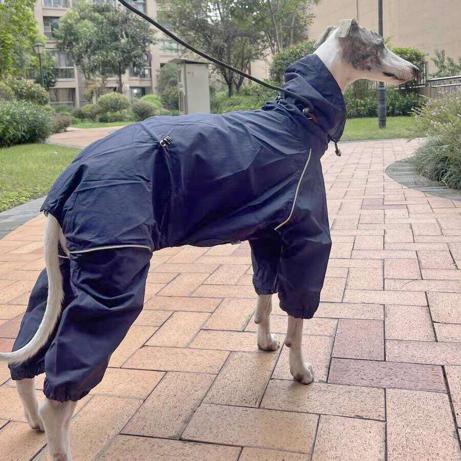 Famous brand Spring Autumn Blue leg Raincoat Windproof Rainproof Zipper Jacket Italy Greyhound Inner Mesh Breathable Coat for Whippet pupakaIK