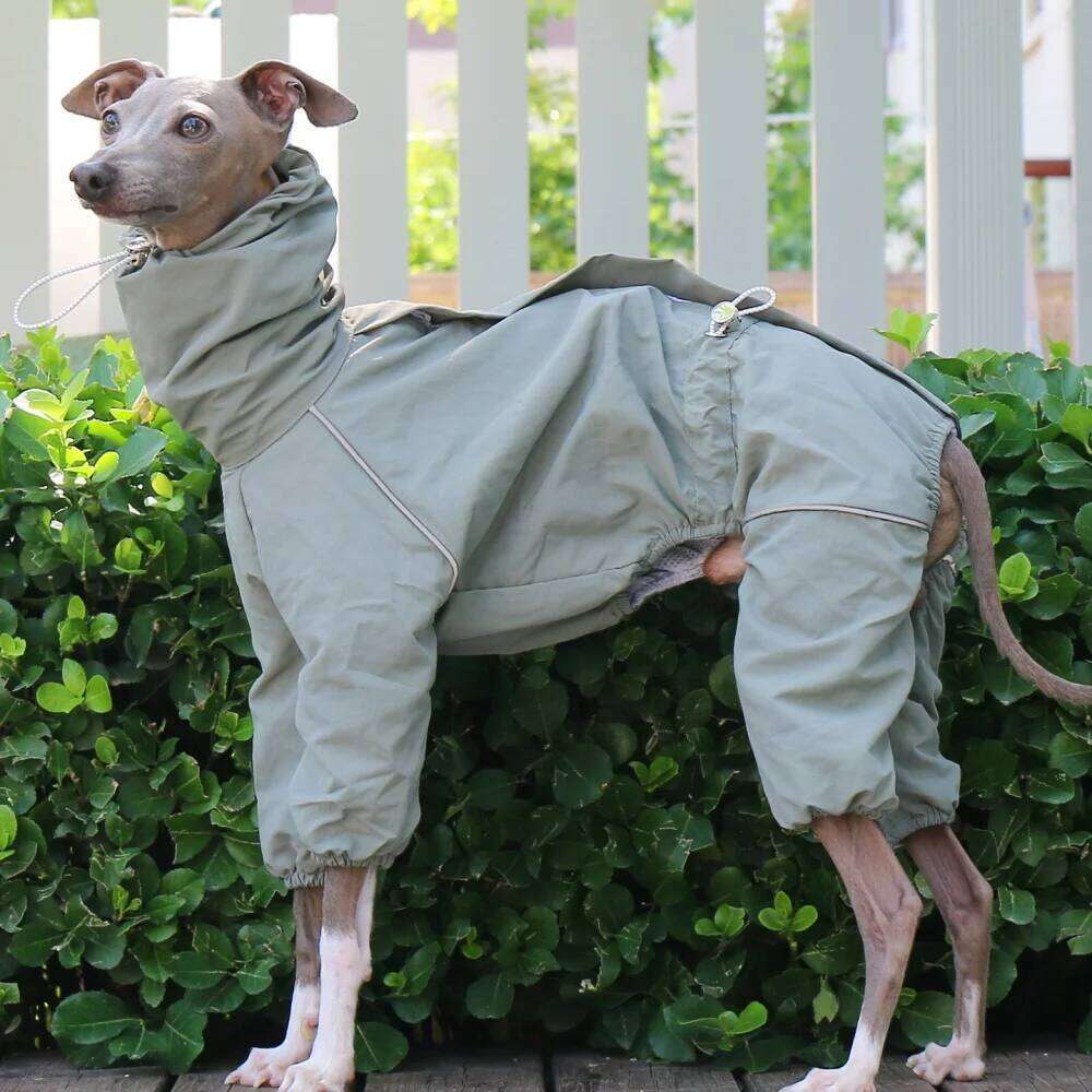 Famous brand Green Windproof Summer Adjustable High Neck Jacket Italian Greyhound Waterproof Raincoat With Zipper on Back for Whippet pupakaIK