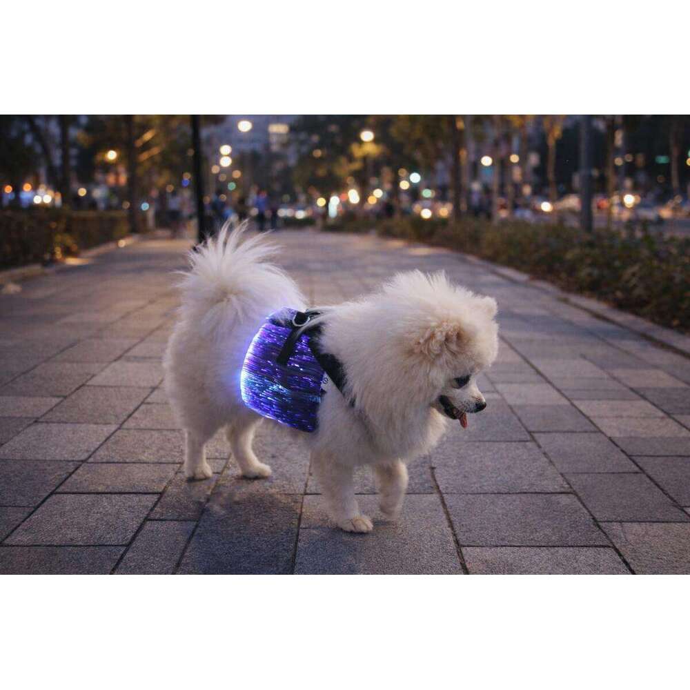 LED Wiring Harness, Luminous Chest Strap, Night Walking Tool, Anti Loss And Safer Pet Dog Accessories - view 8