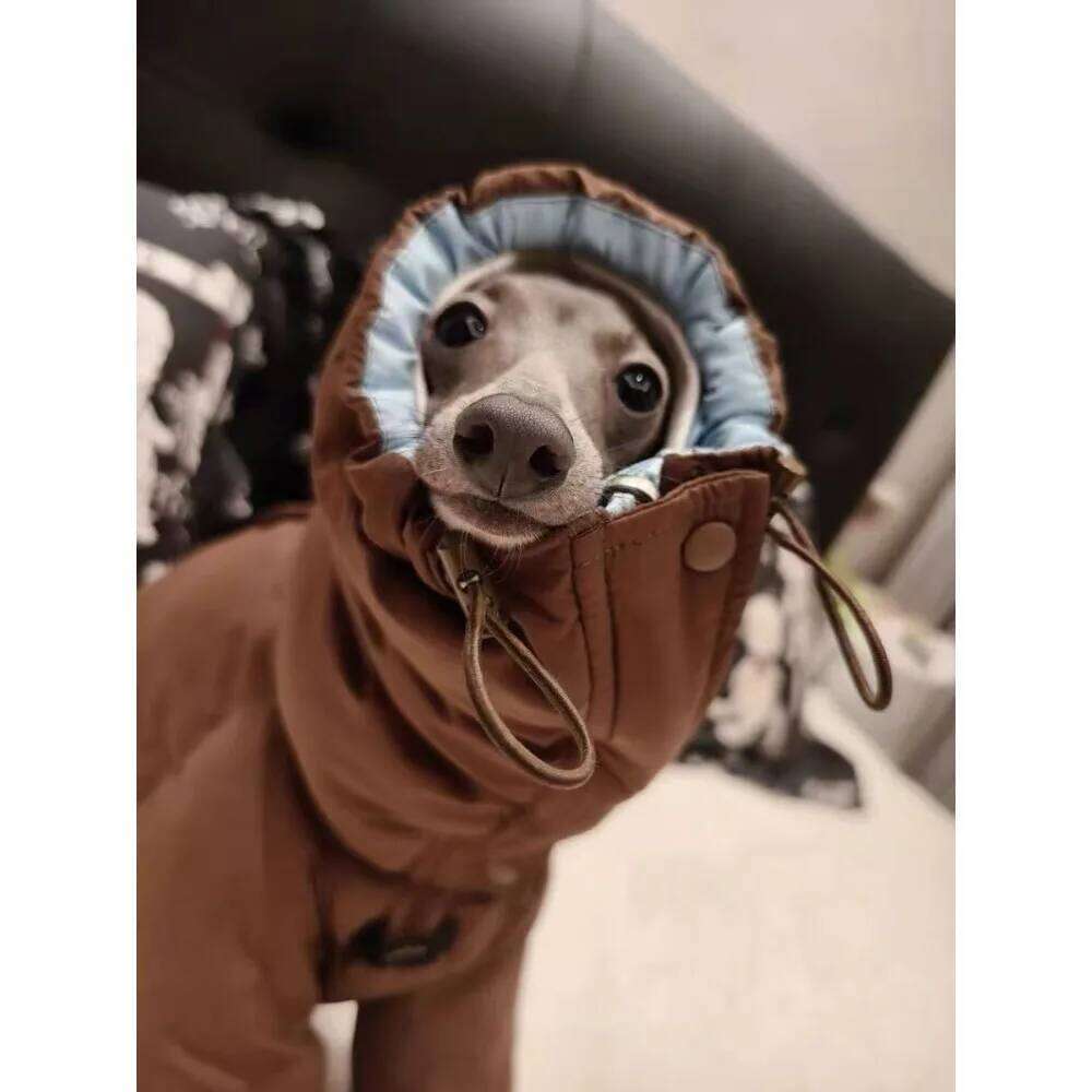 Famous brand Thicken Pet Dog Parkas Coat Four Legs Puppy Jumpsuit High Neck Design Double Sides Wearing Whippet Greyhound Winter Outfits pupakaIK