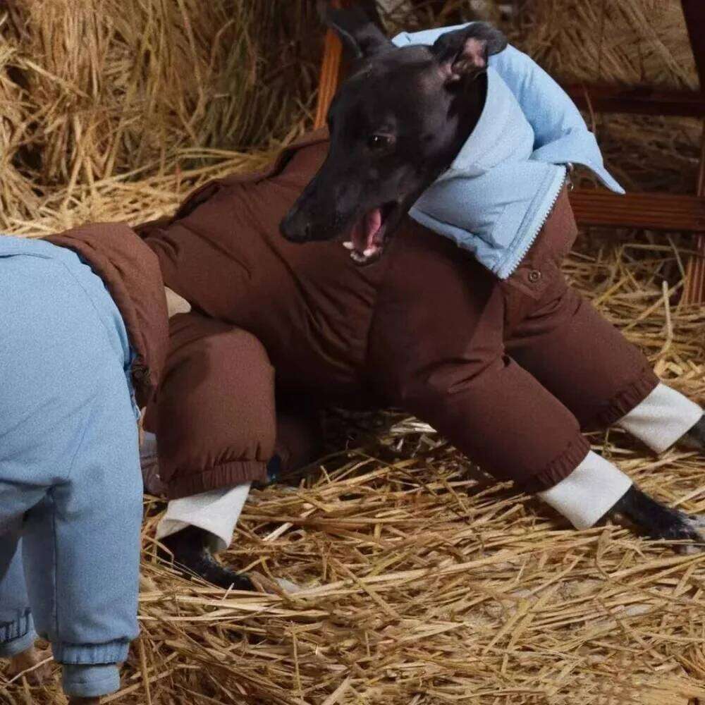 Famous brand Thicken Pet Dog Parkas Coat Four Legs Puppy Jumpsuit High Neck Design Double Sides Wearing Whippet Greyhound Winter Outfits pupakaIK