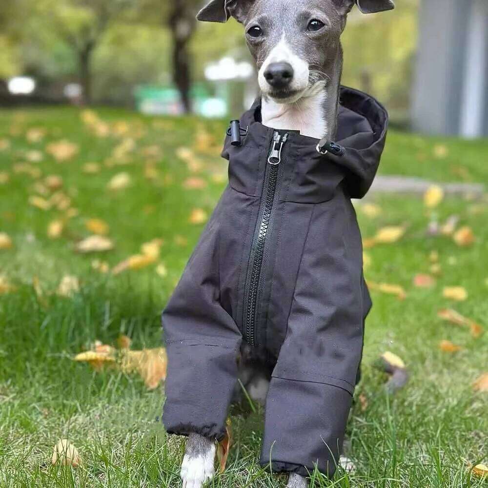 Famous brand Fashion Italy Greyhound Interchange legged High Neck Dog Sweatshirt Black Jacket Coat Soft Loungewear for Whipbit pupakaIK