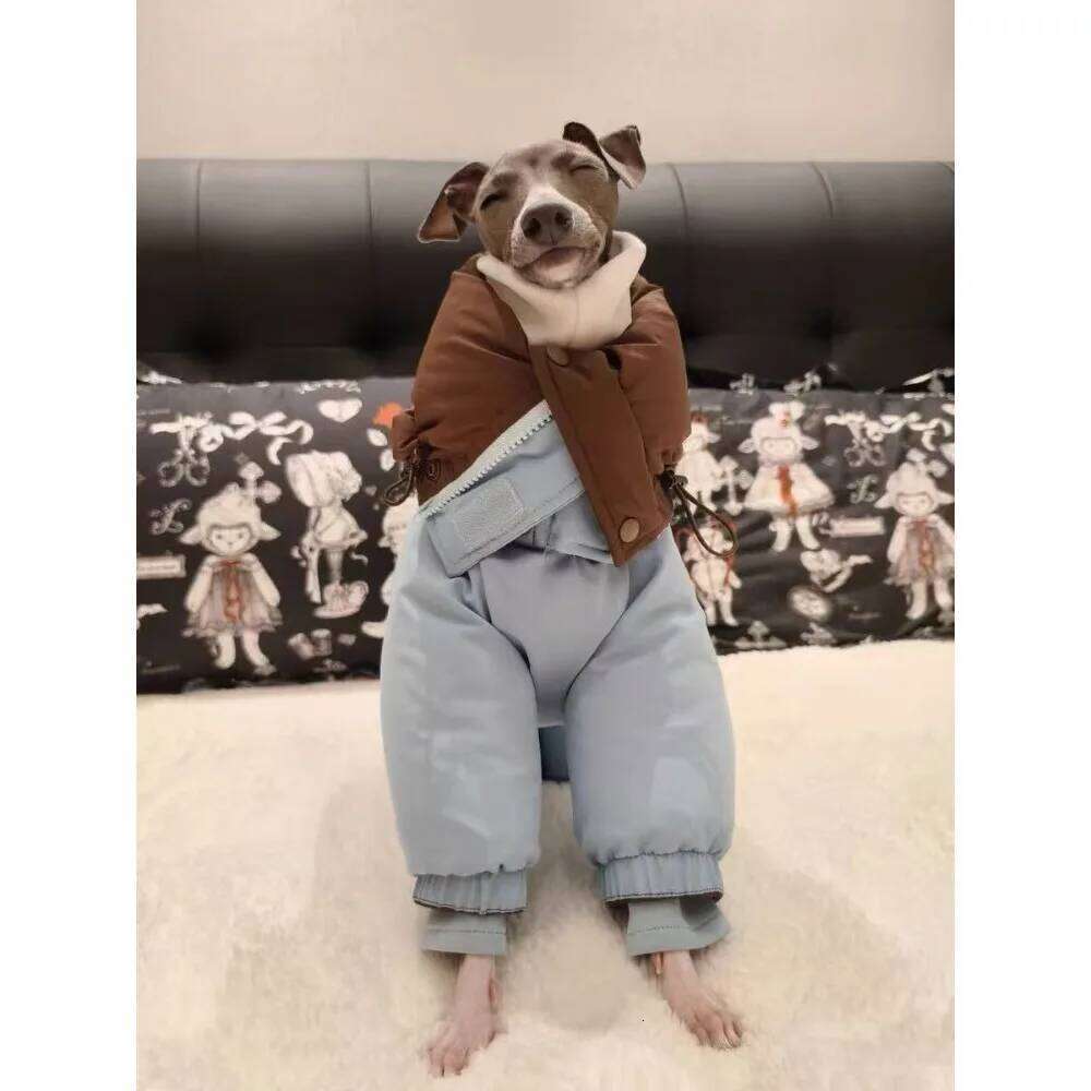 Famous brand Thicken Pet Dog Parkas Coat Four Legs Puppy Jumpsuit High Neck Design Double Sides Wearing Whippet Greyhound Winter Outfits pupakaIK
