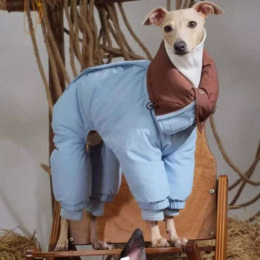 Famous brand Thicken Pet Dog Parkas Coat Four Legs Puppy Jumpsuit High Neck Design Double Sides Wearing Whippet Greyhound Winter Outfits pupakaIK