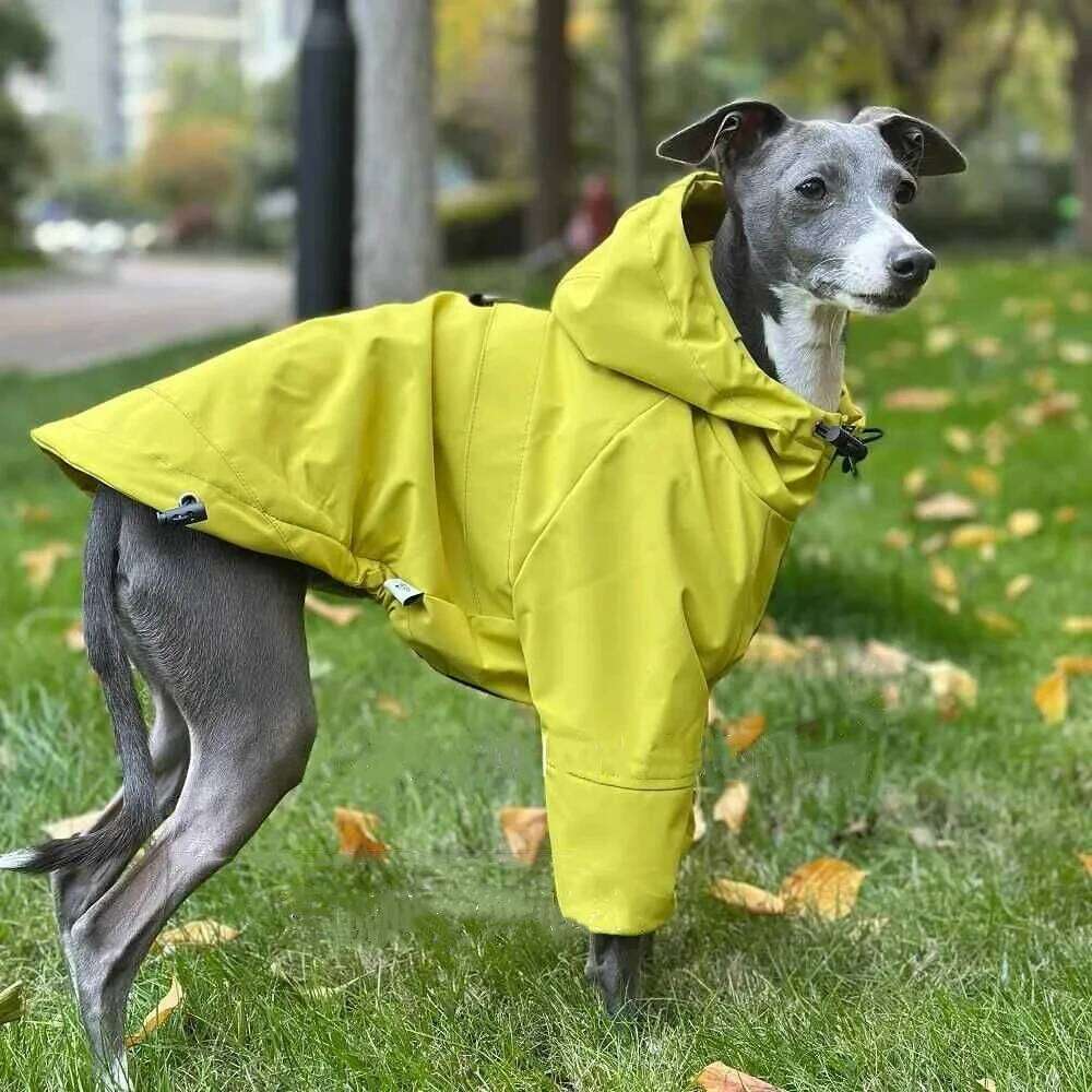 Famous brand Fashion Italy Greyhound Interchange legged High Neck Dog Sweatshirt Black Jacket Coat Soft Loungewear for Whipbit pupakaIK