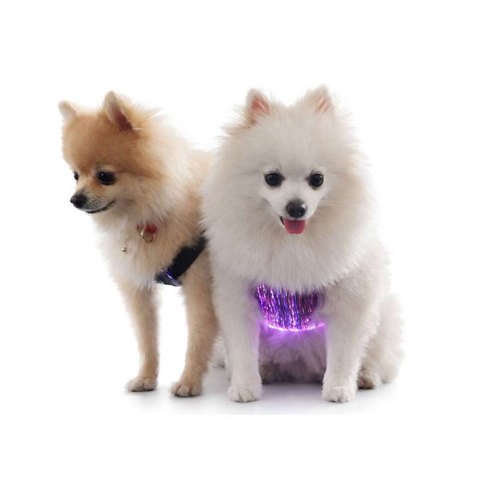 LED Wiring Harness, Luminous Chest Strap, Night Walking Tool, Anti Loss And Safer Pet Dog Accessories - view 7