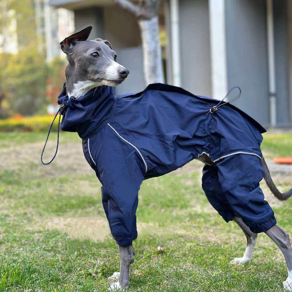 Famous brand Spring Autumn Blue leg Raincoat Windproof Rainproof Zipper Jacket Italy Greyhound Inner Mesh Breathable Coat for Whippet pupakaIK