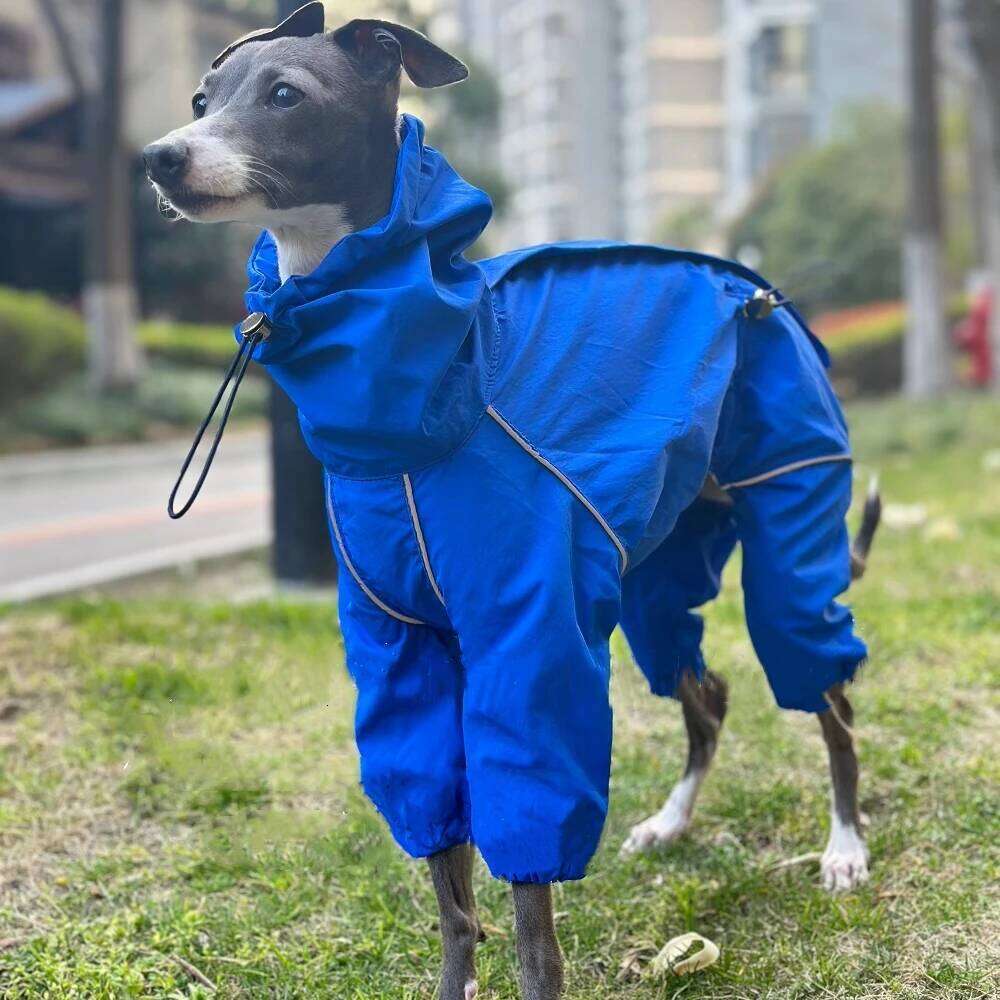 Famous brand Spring Autumn Blue leg Raincoat Windproof Rainproof Zipper Jacket Italy Greyhound Inner Mesh Breathable Coat for Whippet pupakaIK