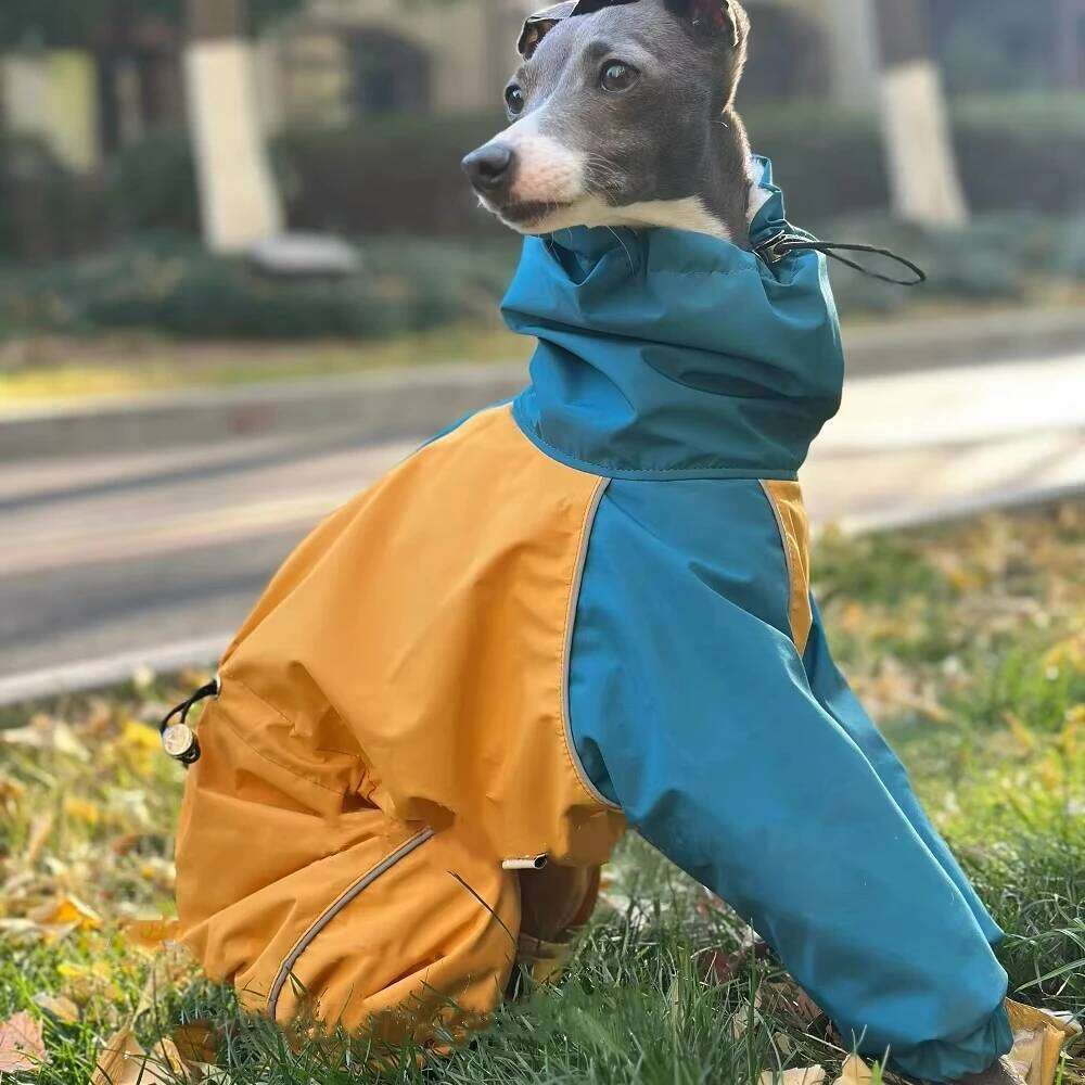 Famous brand Fashion Italy Greyhound Clothes Warm legged High Neck Dog Sweatshirt Winter Jacket Coat Soft Loungewear for Bellington pupakaIK