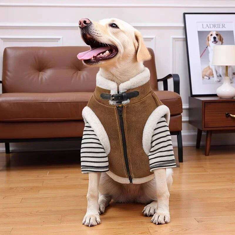 Famous brand Large Clothing Winter Big Dog Vest Coat Jacket Border Collie Husky Samoyed Labrador Golden Retriever Clothes Pet Apparel pupakaIK