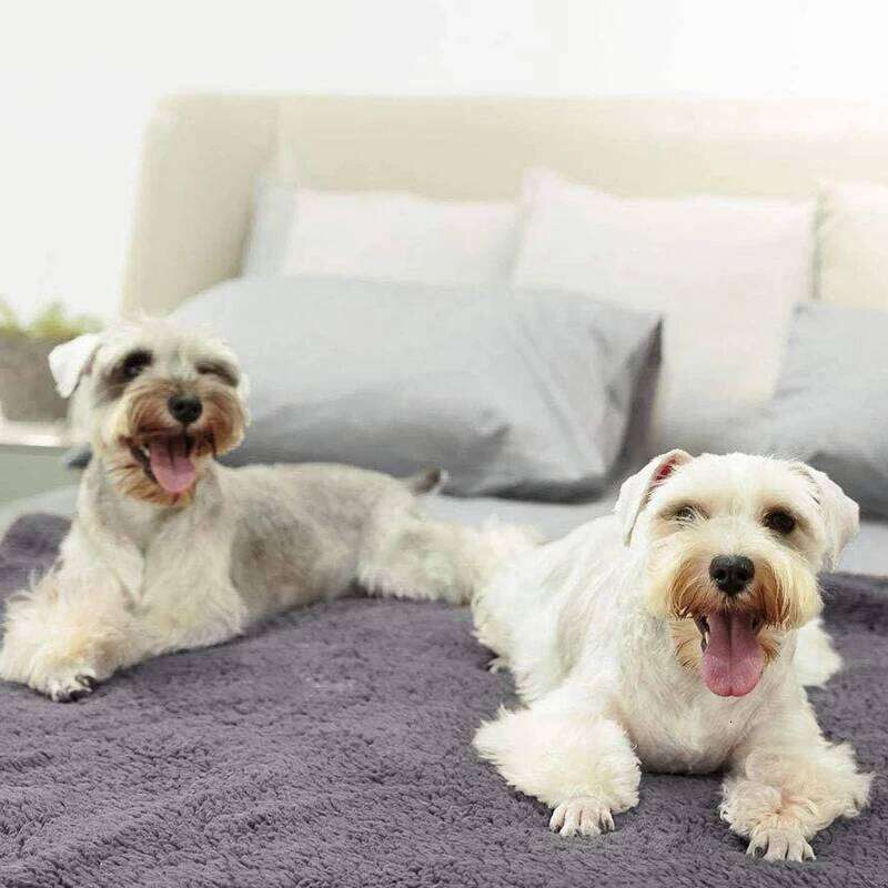 Shu Cotton Velvet Dog Cat Blanket Mat Pet Supplies W260120