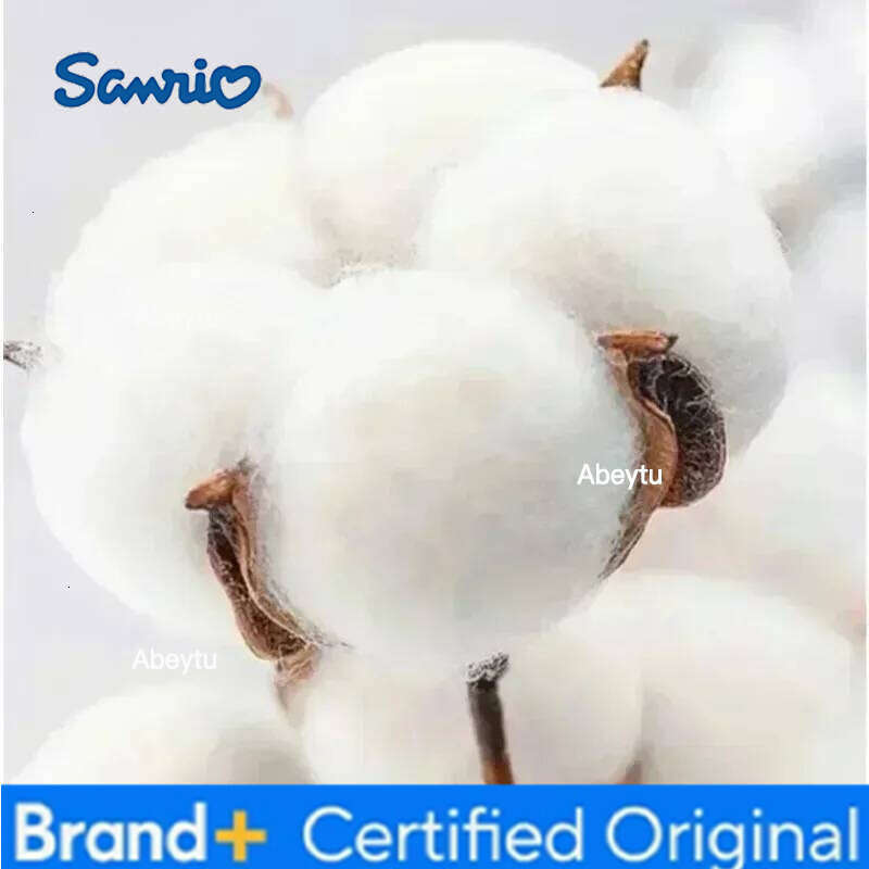 Sanrio Cartoon Print Short-sleeved T-shirt H260120