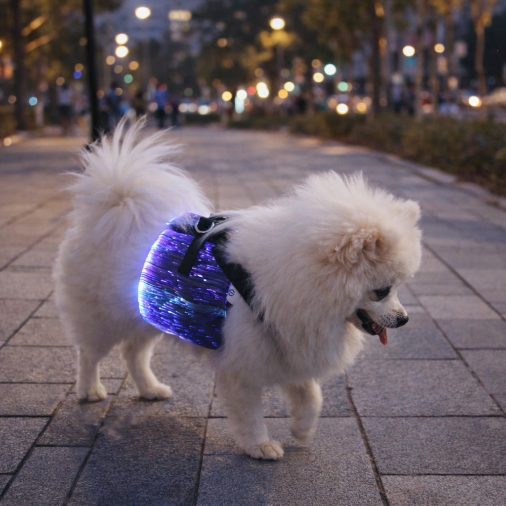 Pet supplies, dog harness, luminous chest strap, suitable for nighttime walking tools, anti loss LED wiring harness, pet dog accessories