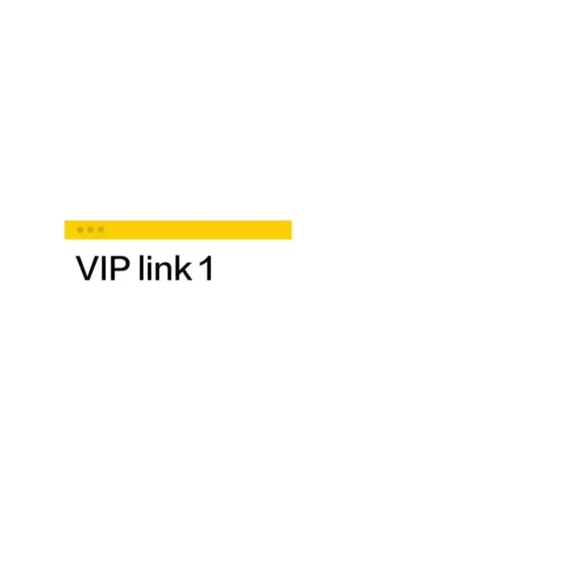 188888 VIP LINK Customized links, watches Payment 03