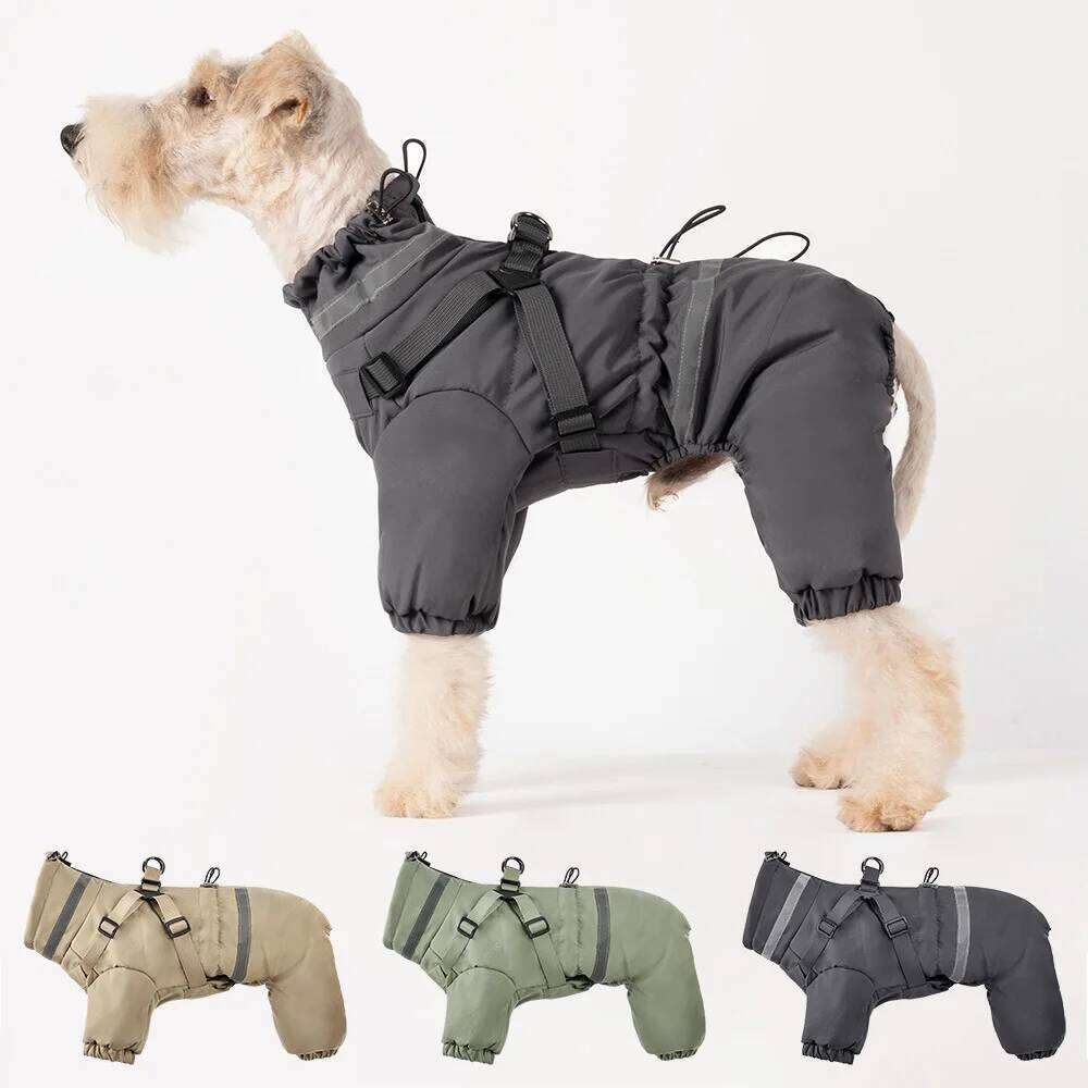 Famous brand Premium Hood for Extra Small Dogs Outdoor Sports Waterproof Dog Rain Jacket Puppy Raincoat with Reflective pupakaIK